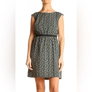 Loft Cap Sleeve Leaf Print Green Black Ribbon Waist A-Line Shift Dress Small P